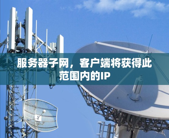 服务器子网，客户端将获得此范围内的IP